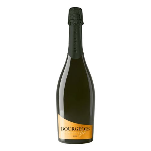 Игристое вино Bourgeois Prosecco Style